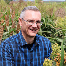 Professor Andrew Borrell