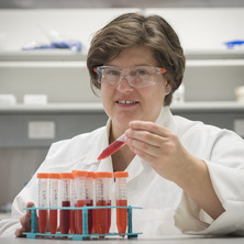 Dr Gabi Netzel