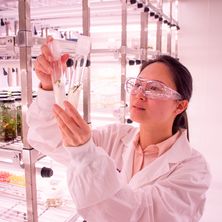 Dr Eveline Kong
