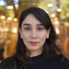 Fahimeh Farokhinejad