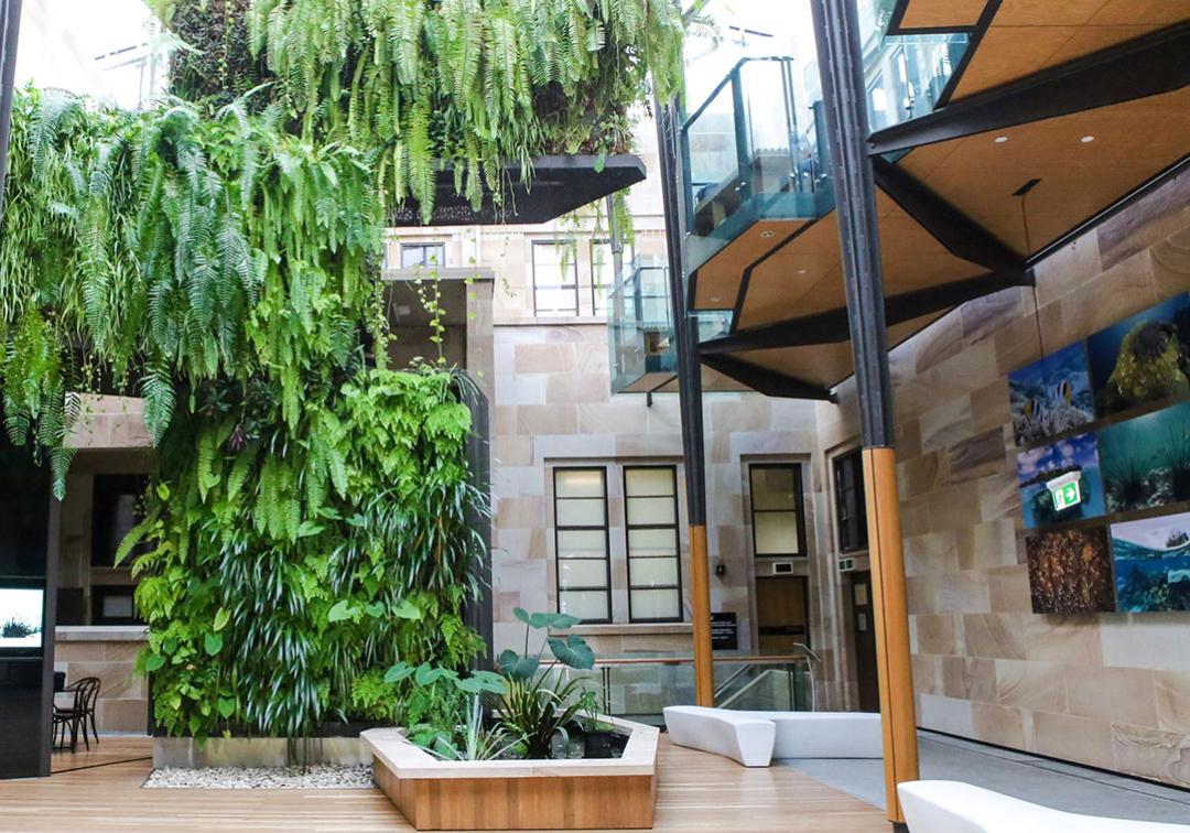 Building with plants growing inside