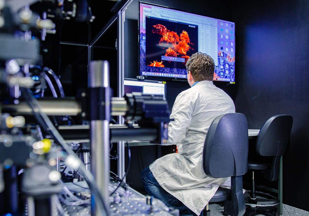 Scientist looking at image generated by a microscope