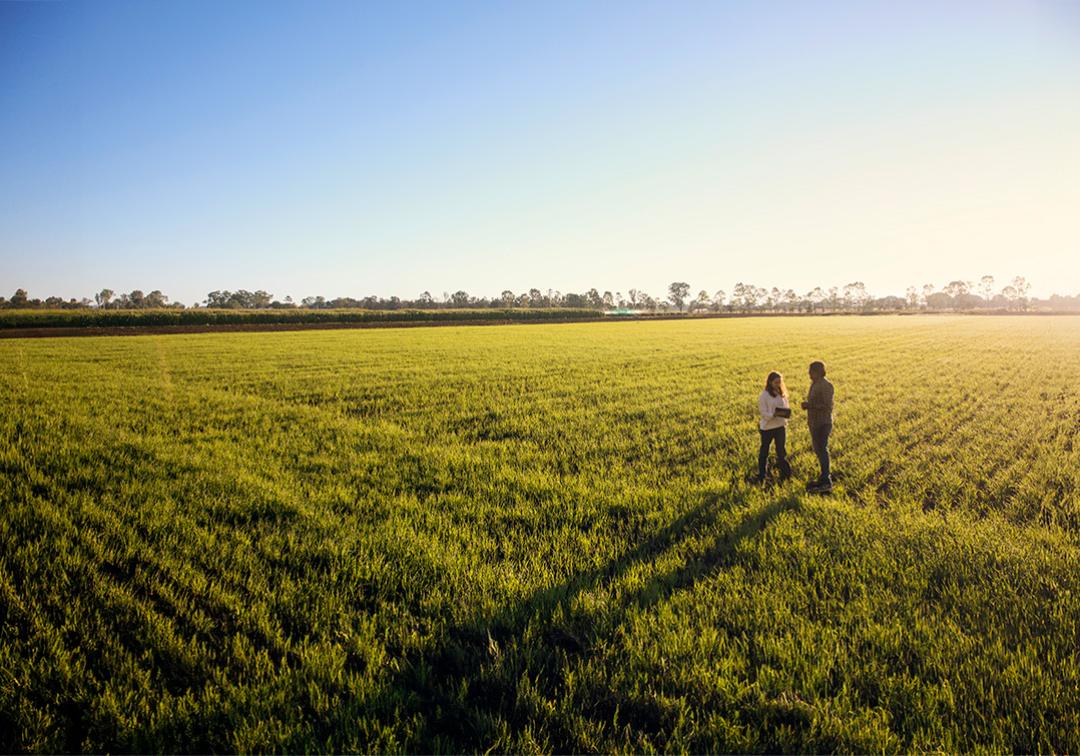 Two people standing is sunset-lit field