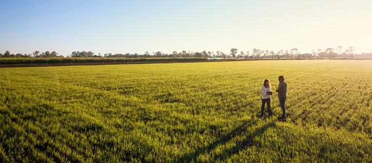 Two people standing is sunset-lit field