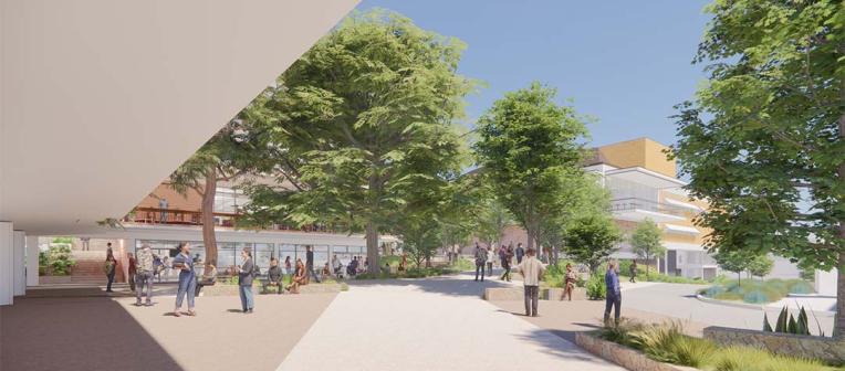 Outdoor area with pathways, trees and sitting areas.