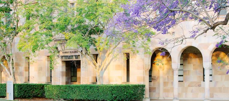 The Great Court with jacaranda trees in bloom. 