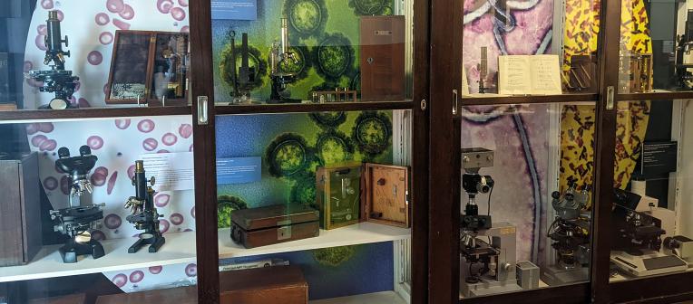 Microscope display
