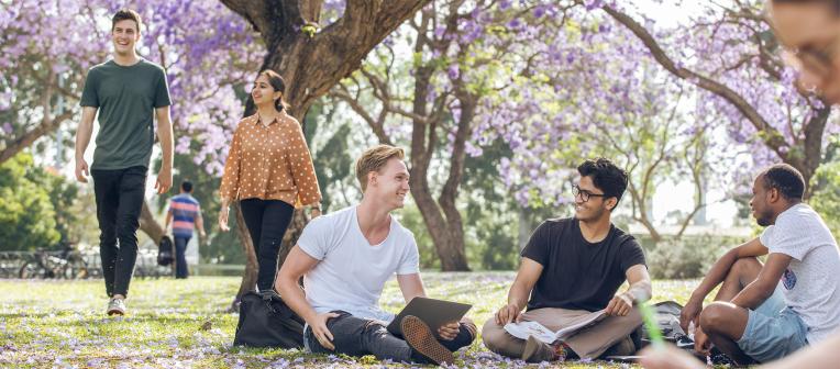 Students sit on the grass under Jacaranda trees