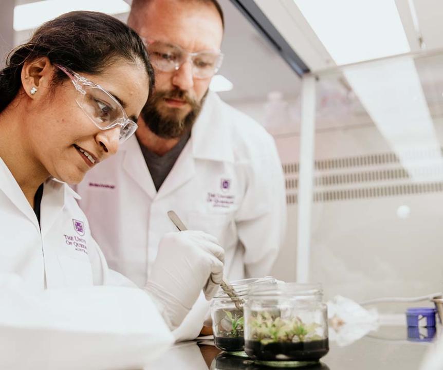 Two researchers wearing goggles and lab coats inspecting plants in jars. 