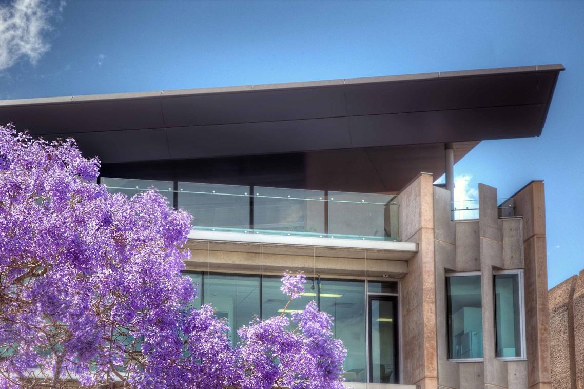 External view of the Terrace Room, framed by Jacaranda tree