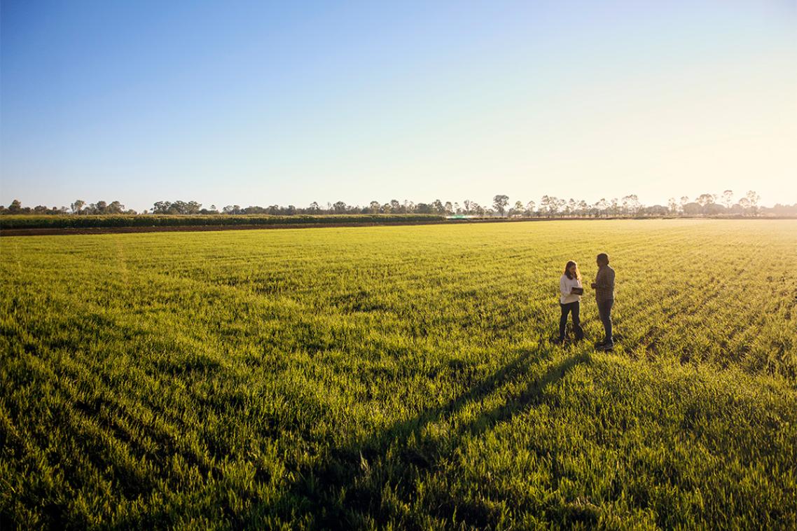 Two people standing is sunset-lit field