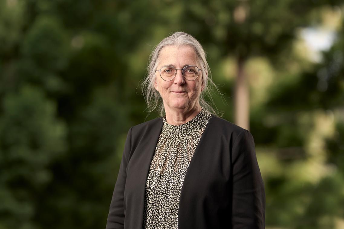 Professor Sue Harrison