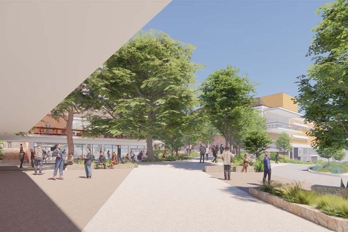 Outdoor area with pathways, trees and sitting areas.