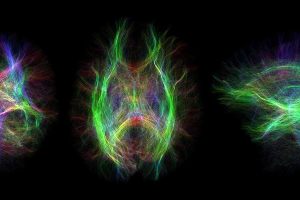 Brightly coloured waveforms 