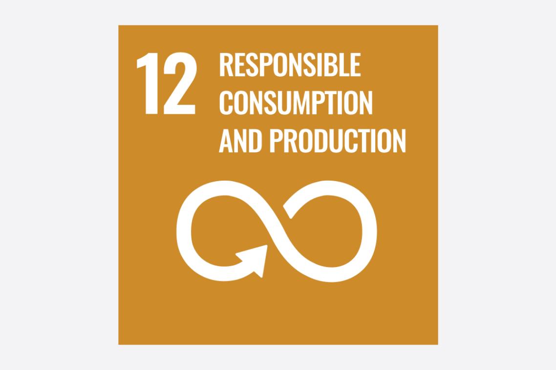 Sustainable Development Goal 12 icon