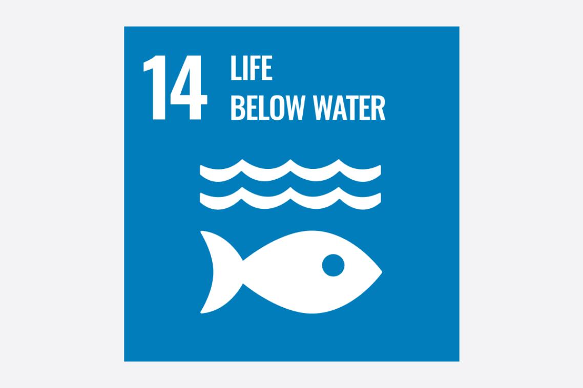 Sustainable Development Goal 14 icon