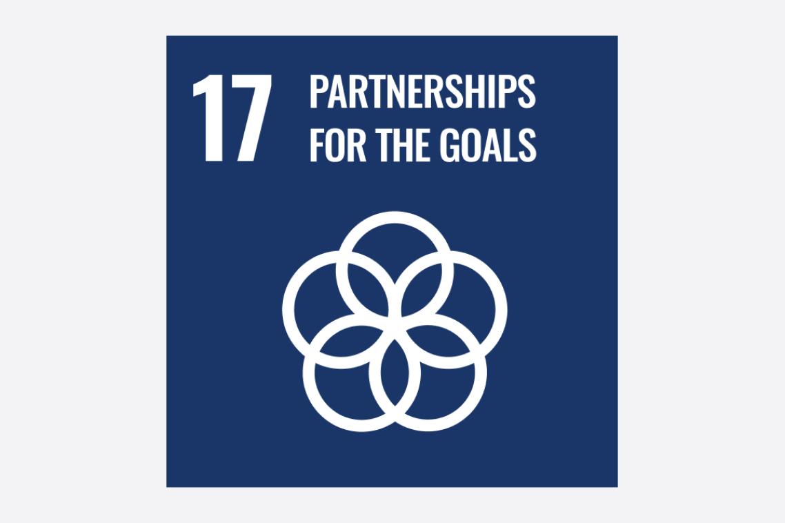 Sustainable Development Goal 17 icon