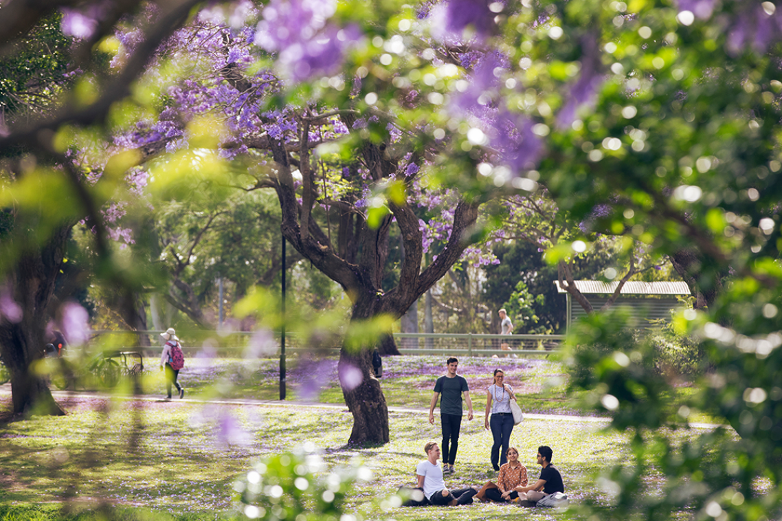Students outdoors on campus.